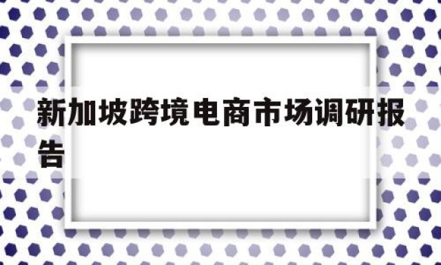 新加坡跨境电商市场调研报告